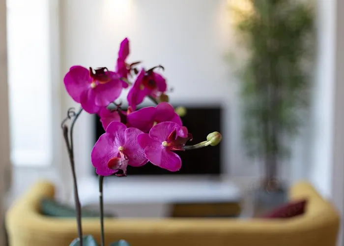 Fashion Luxury House